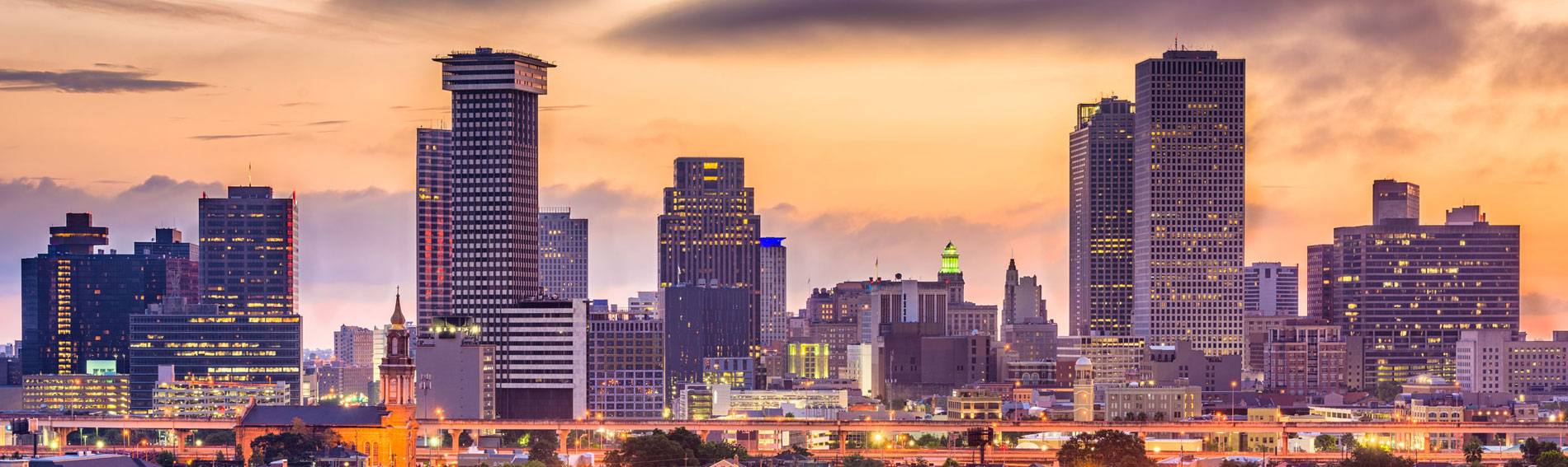 Rare Insight LLC - New Orleans Skyline